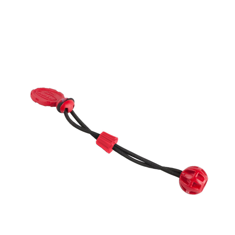 Berkley Cinch Fishing Gear –
